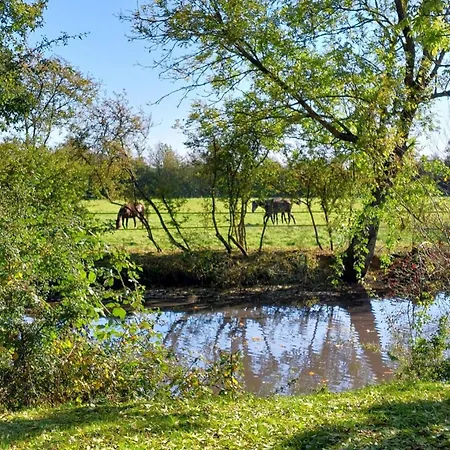 Ferienhaus Maison Restauree Dans Elevage De Chevaux, Wifi, Animaux Admis - Fr-1-497-239 Notre-Dame-du-Hamel