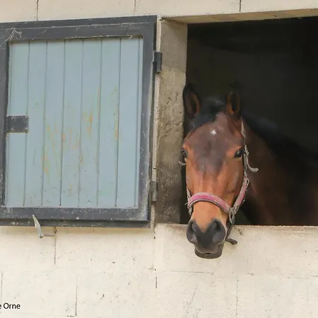 Ferienhaus Maison Restauree Dans Elevage De Chevaux, Wifi, Animaux Admis - Fr-1-497-239 Notre-Dame-du-Hamel