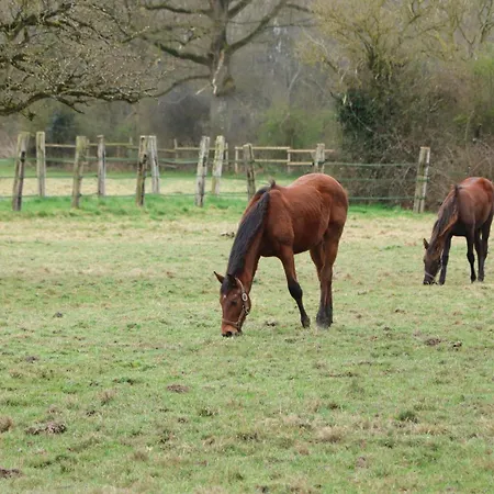 Maison Restauree Dans Elevage De Chevaux, Wifi, Animaux Admis - Fr-1-497-239 * Notre-Dame-du-Hamel