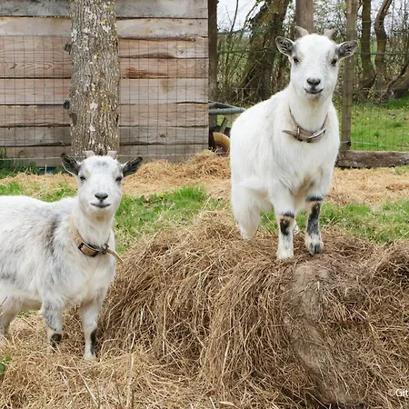 Ferienhaus Maison Restauree Dans Elevage De Chevaux, Wifi, Animaux Admis - Fr-1-497-239 Notre-Dame-du-Hamel