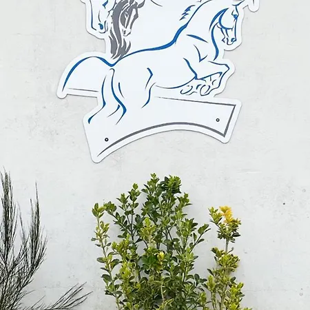 Ferienhaus Maison Restauree Dans Elevage De Chevaux, Wifi, Animaux Admis - Fr-1-497-239 *