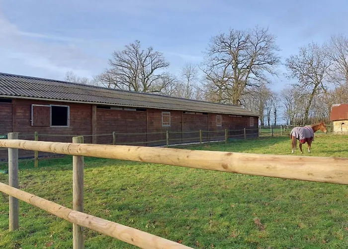 Maison Restauree Dans Elevage De Chevaux, Wifi, Animaux Admis - Fr-1-497-239 *